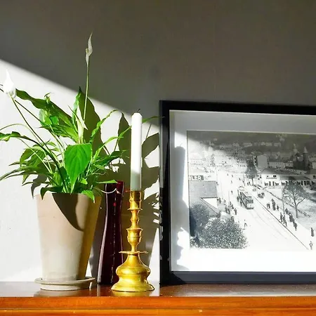 2br With Balconies And Art In Historical Area Διαμέρισμα