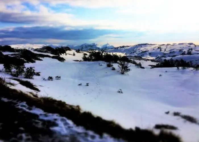 2br With Balconies And Art In Historical Area *