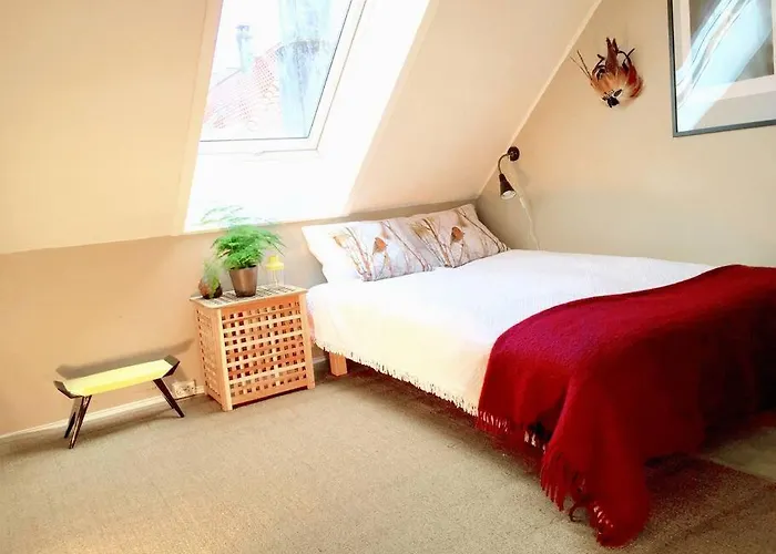 2br With Balconies And Art In Historical Area