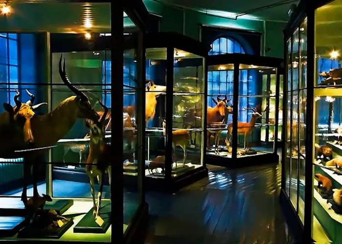 2br With Balconies And Art In Historical Area * 베르겐